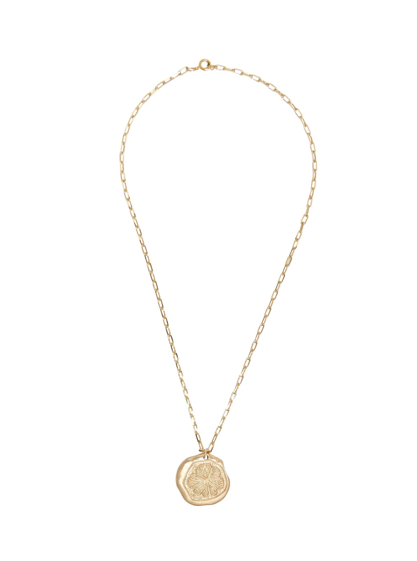 Sandralexandra - Lemon Slice Gold Necklace